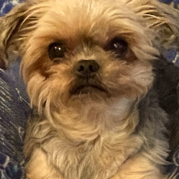 Meet the Posher Other - heyy cuties!☺️🍒 @sadbutcute.co !